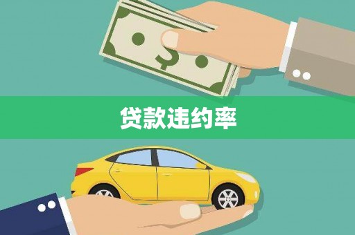 武川贷款违约率