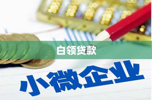 武川白领贷款