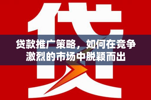 武川贷款推广策略，如何在竞争激烈的市场中脱颖而出
