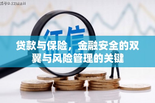 武川贷款与保险，金融安全的双翼与风险管理的关键