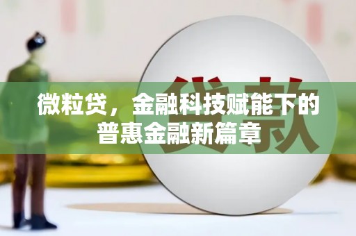 武川微粒贷，金融科技赋能下的普惠金融新篇章