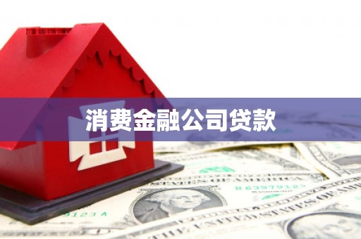 武川消费金融公司贷款