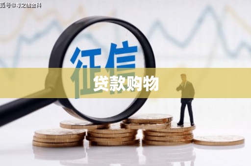 武川贷款购物