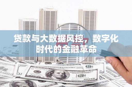 武川贷款与大数据风控，数字化时代的金融革命