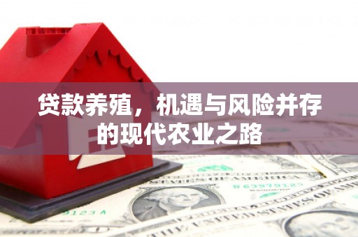 武川贷款养殖，机遇与风险并存的现代农业之路