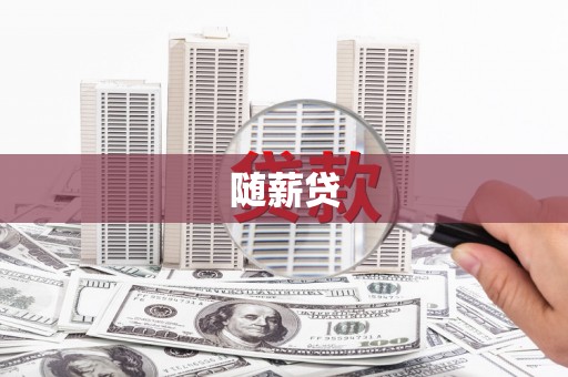 武川随薪贷