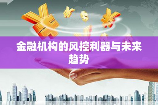 武川金融机构的风控利器与未来趋势