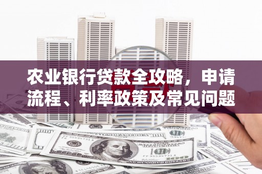 武川农业银行贷款全攻略，申请流程、利率政策及常见问题解析