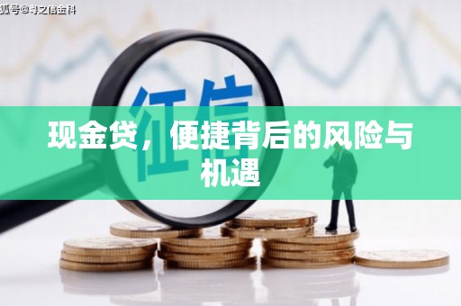 武川现金贷，便捷背后的风险与机遇