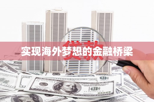 武川实现海外梦想的金融桥梁