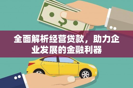 武川全面解析经营贷款，助力企业发展的金融利器