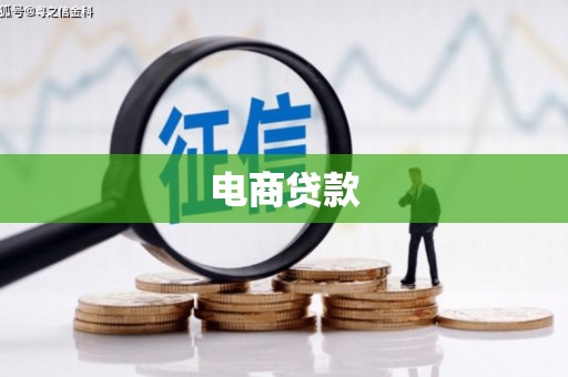 武川电商贷款