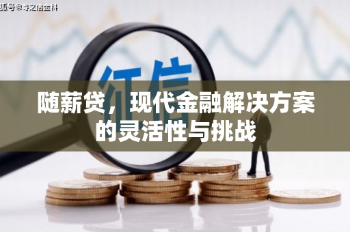 武川随薪贷，现代金融解决方案的灵活性与挑战