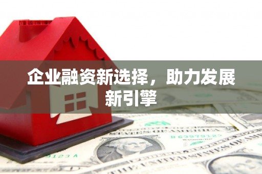 武川企业融资新选择，助力发展新引擎