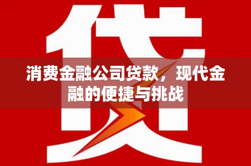 武川消费金融公司贷款，现代金融的便捷与挑战