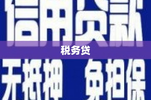 武川税务贷