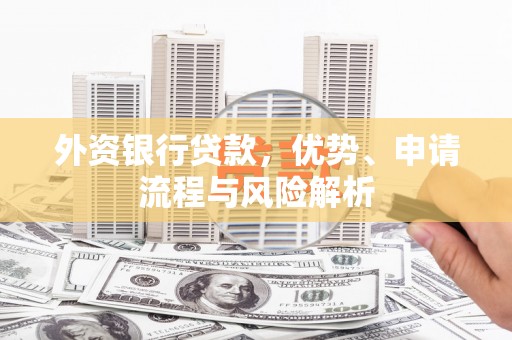 武川外资银行贷款，优势、申请流程与风险解析