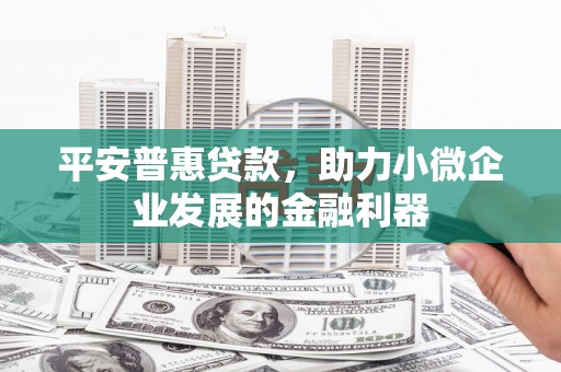 武川平安普惠贷款，助力小微企业发展的金融利器