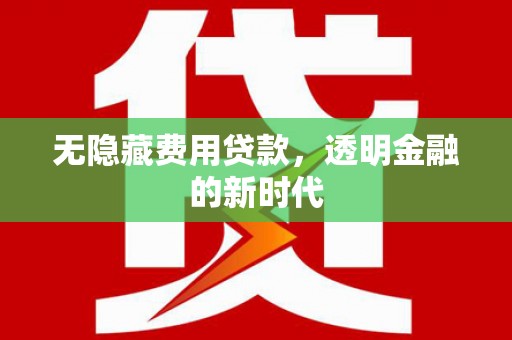武川无隐藏费用贷款，透明金融的新时代