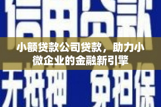 武川小额贷款公司贷款，助力小微企业的金融新引擎