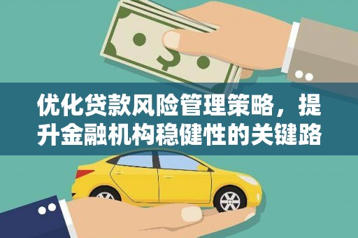 武川优化贷款风险管理策略，提升金融机构稳健性的关键路径