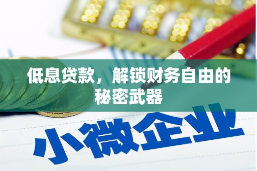 武川低息贷款，解锁财务自由的秘密武器