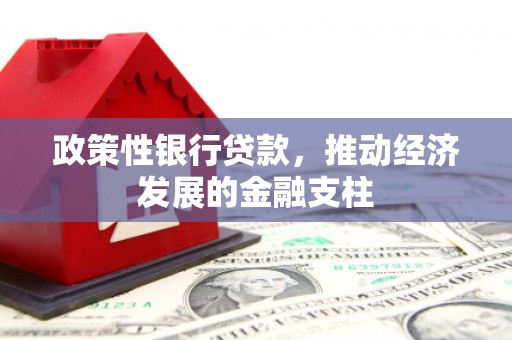 武川政策性银行贷款，推动经济发展的金融支柱