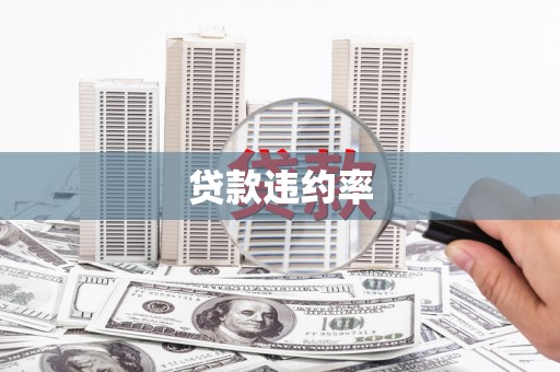 武川贷款违约率