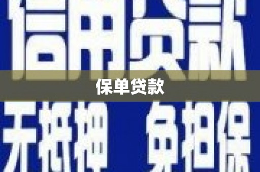 武川保单贷款