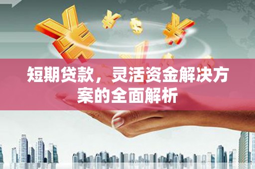 武川短期贷款，灵活资金解决方案的全面解析