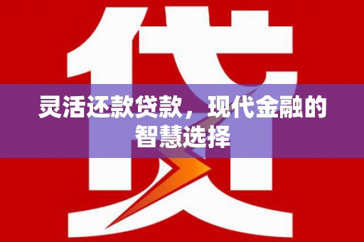 武川灵活还款贷款，现代金融的智慧选择
