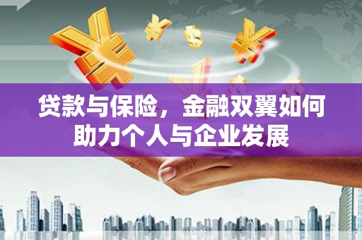 武川贷款与保险，金融双翼如何助力个人与企业发展