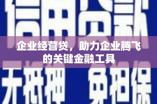 武川企业经营贷，助力企业腾飞的关键金融工具