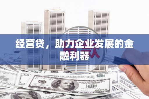 武川经营贷，助力企业发展的金融利器