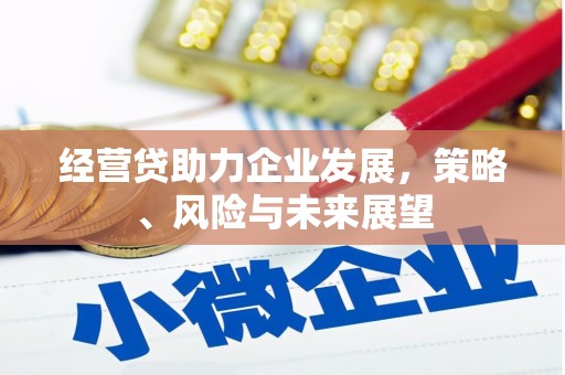 武川经营贷助力企业发展，策略、风险与未来展望