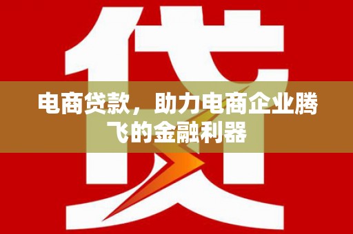 武川电商贷款，助力电商企业腾飞的金融利器