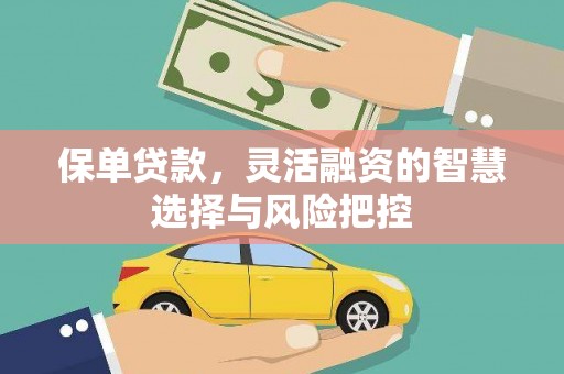 武川保单贷款，灵活融资的智慧选择与风险把控