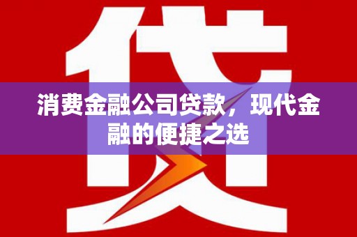 武川消费金融公司贷款，现代金融的便捷之选