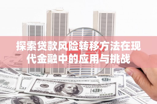 武川探索贷款风险转移方法在现代金融中的应用与挑战