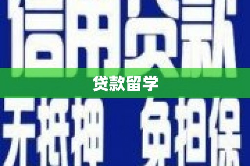 武川贷款留学