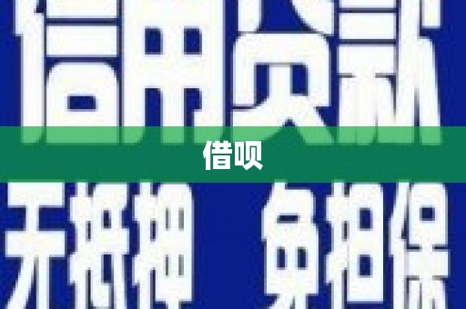 武川借呗