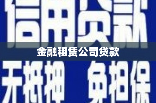 武川金融租赁公司贷款