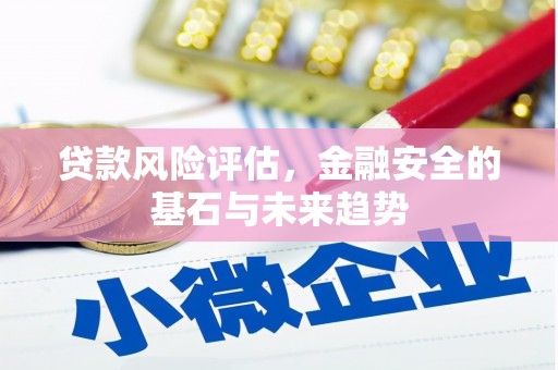 武川贷款风险评估，金融安全的基石与未来趋势