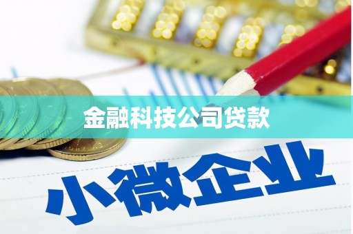 武川金融科技公司贷款
