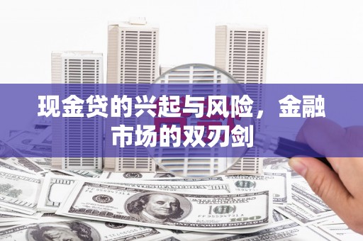 武川现金贷的兴起与风险，金融市场的双刃剑