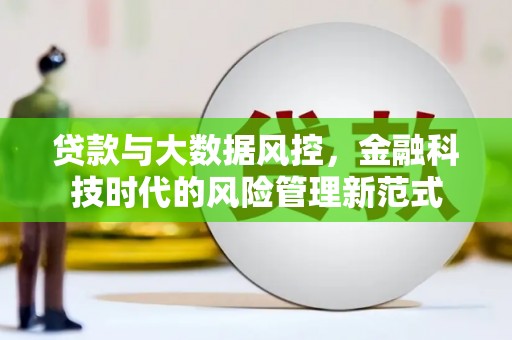 武川贷款与大数据风控，金融科技时代的风险管理新范式