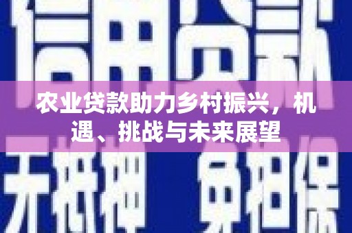 武川农业贷款助力乡村振兴，机遇、挑战与未来展望