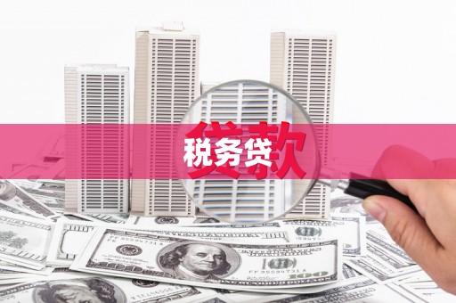 武川税务贷
