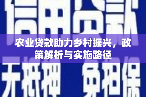 武川农业贷款助力乡村振兴，政策解析与实施路径