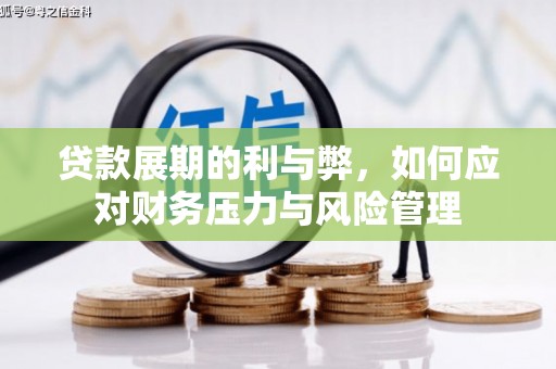 武川贷款展期的利与弊，如何应对财务压力与风险管理